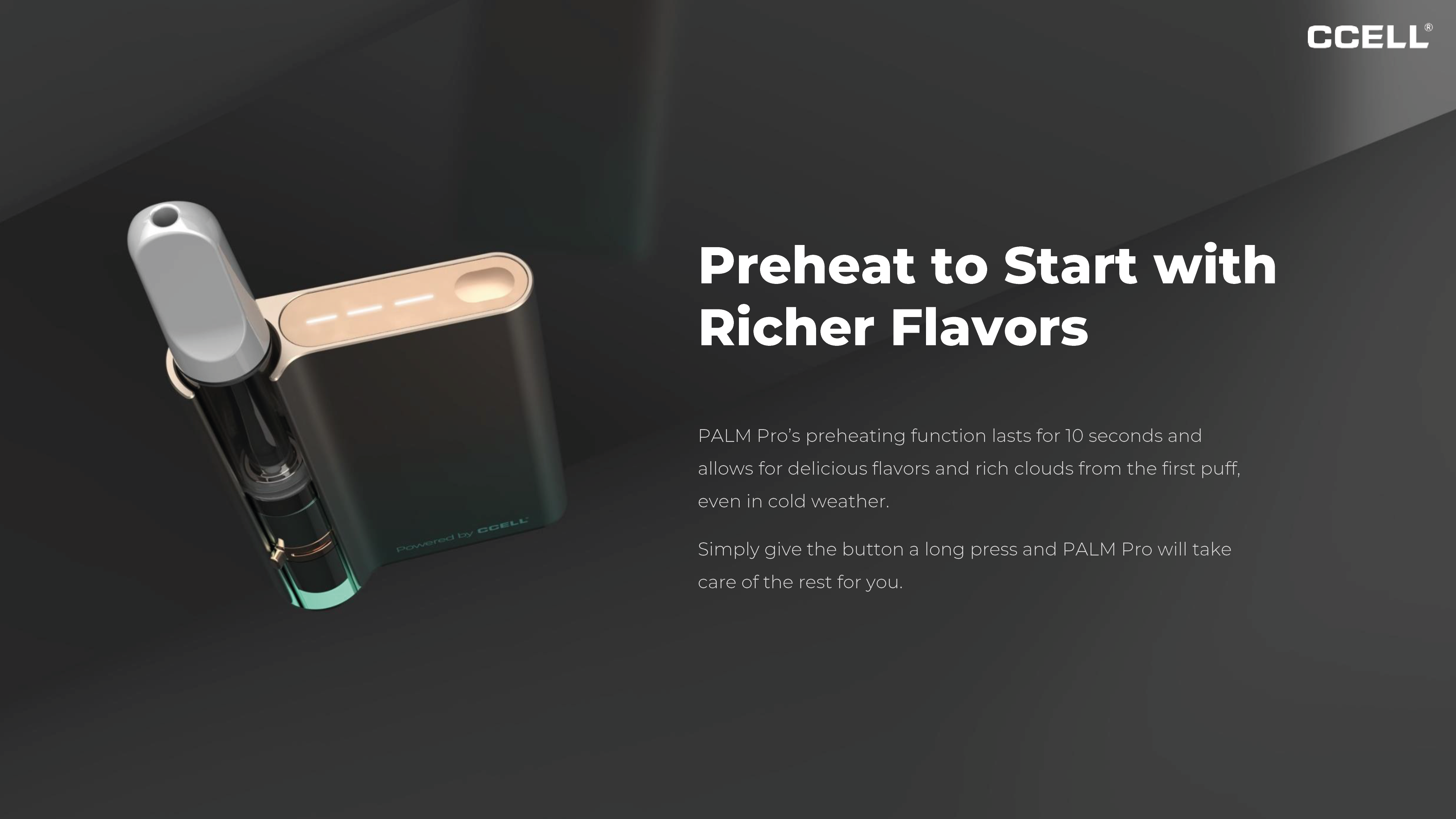 Palm_Pro-06
